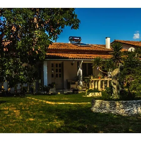Jasmin Studio 3 Apartament Gouvia